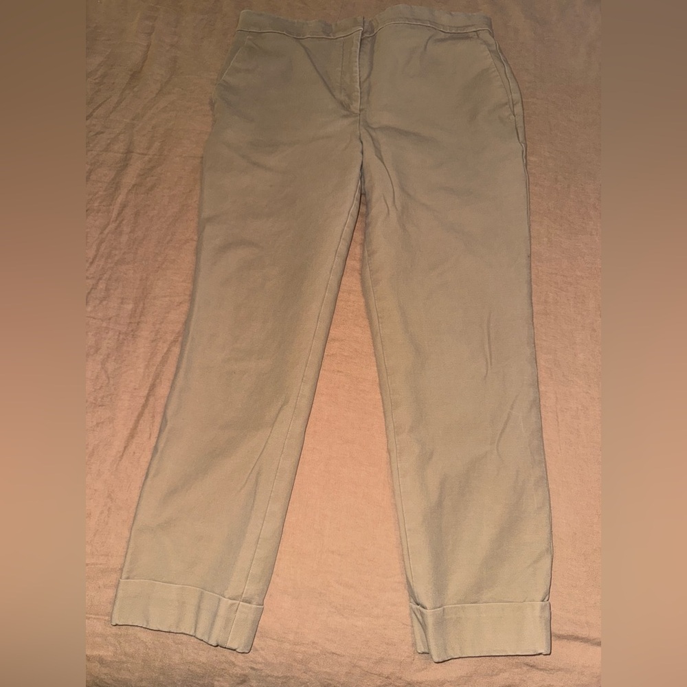 Ann Taylor Men's Tan Chinos